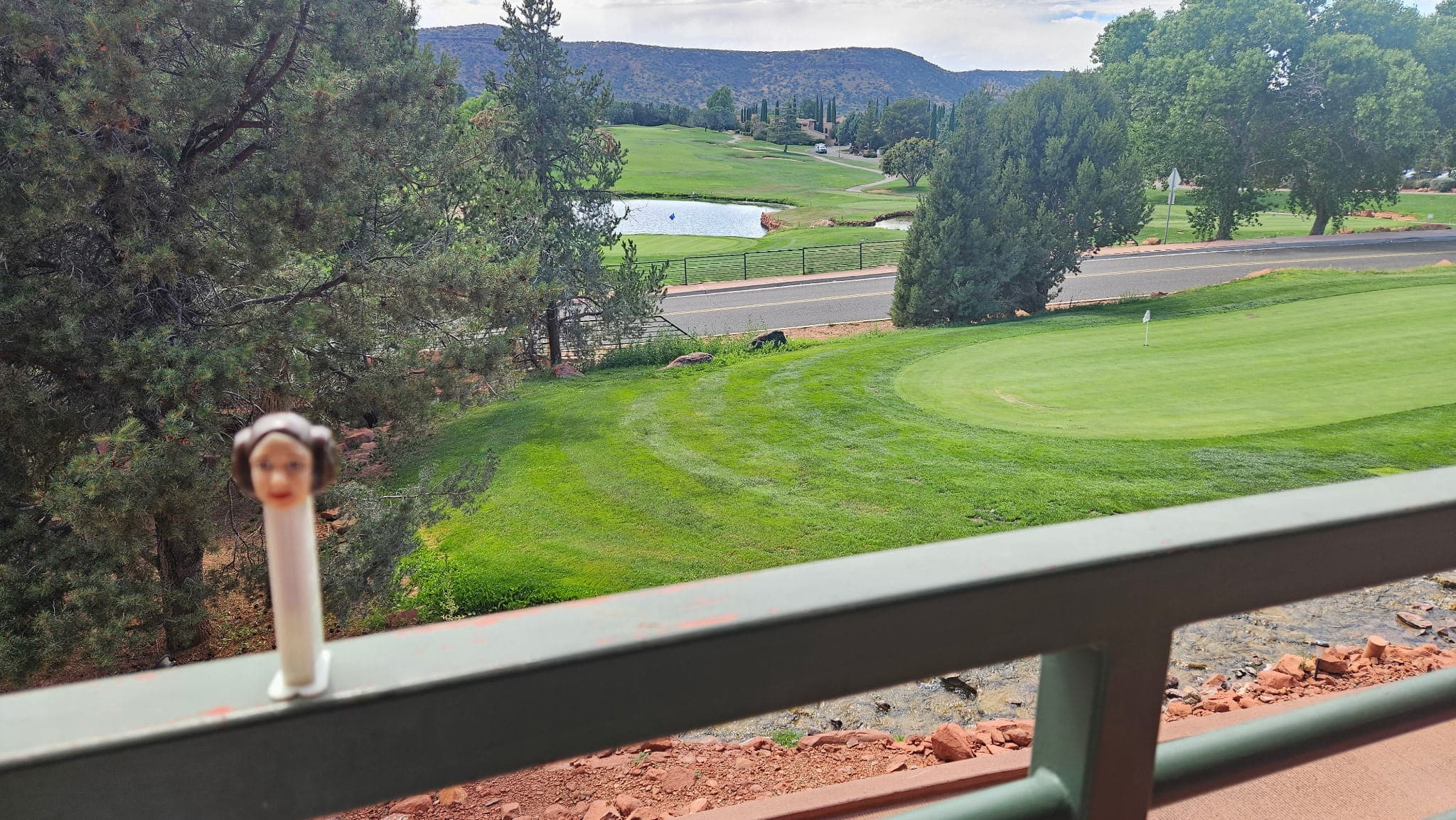 Princess Leia at Sedona Golf Club
