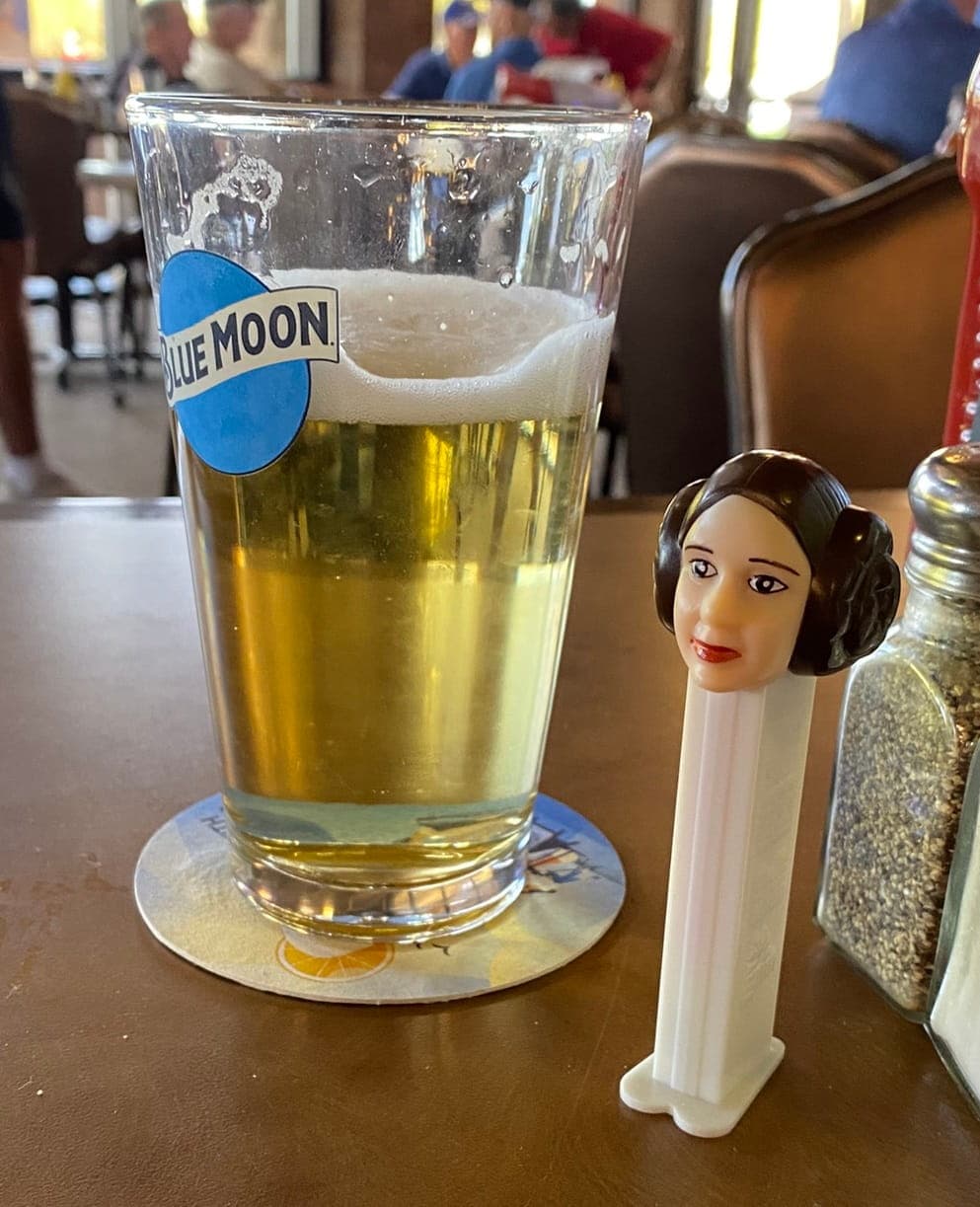 Princess Leia at Falcon Dunes